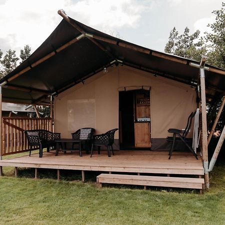 Camping De Tulpenweide Breezand Стая снимка
