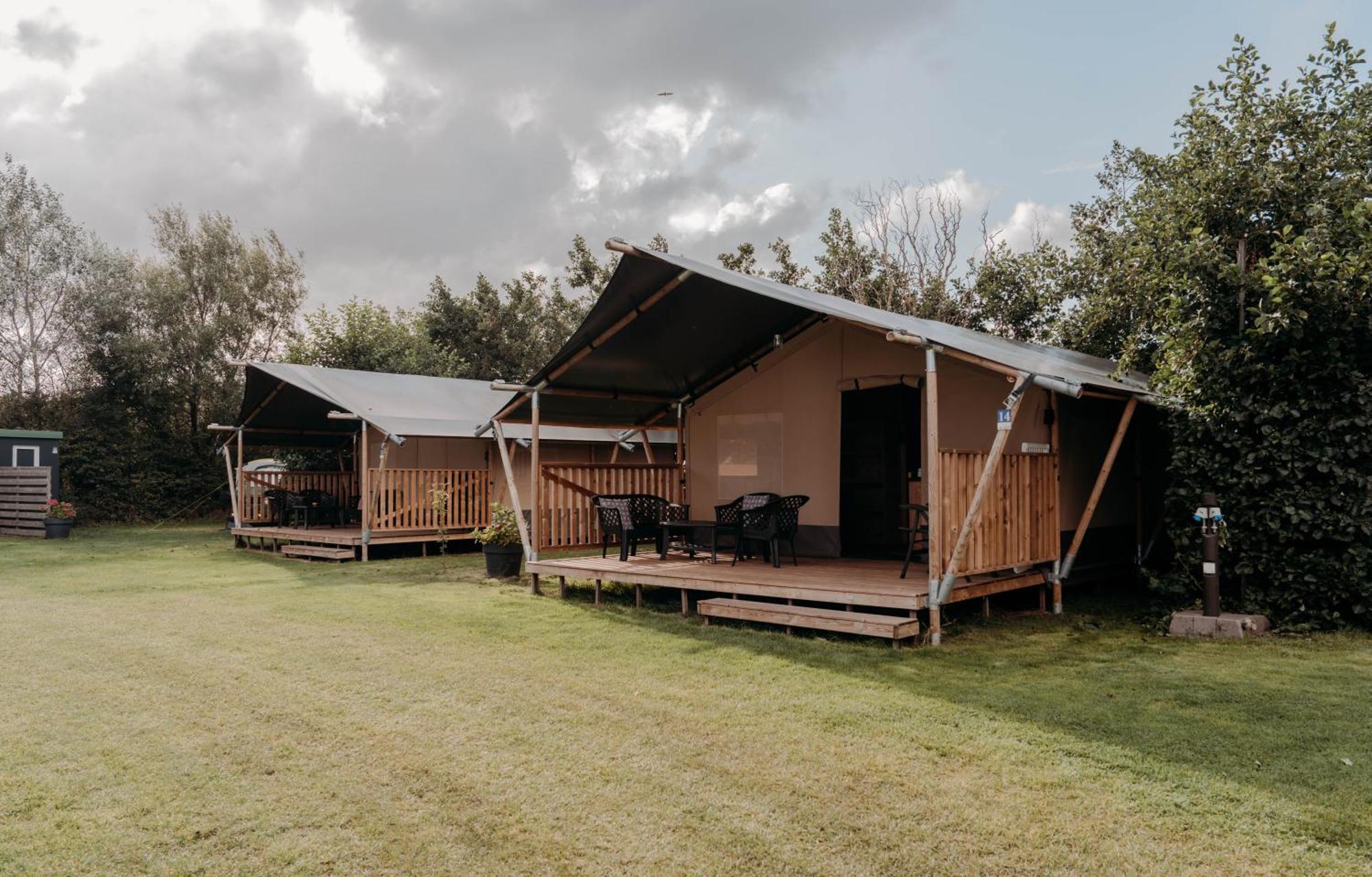 Camping De Tulpenweide Breezand Стая снимка